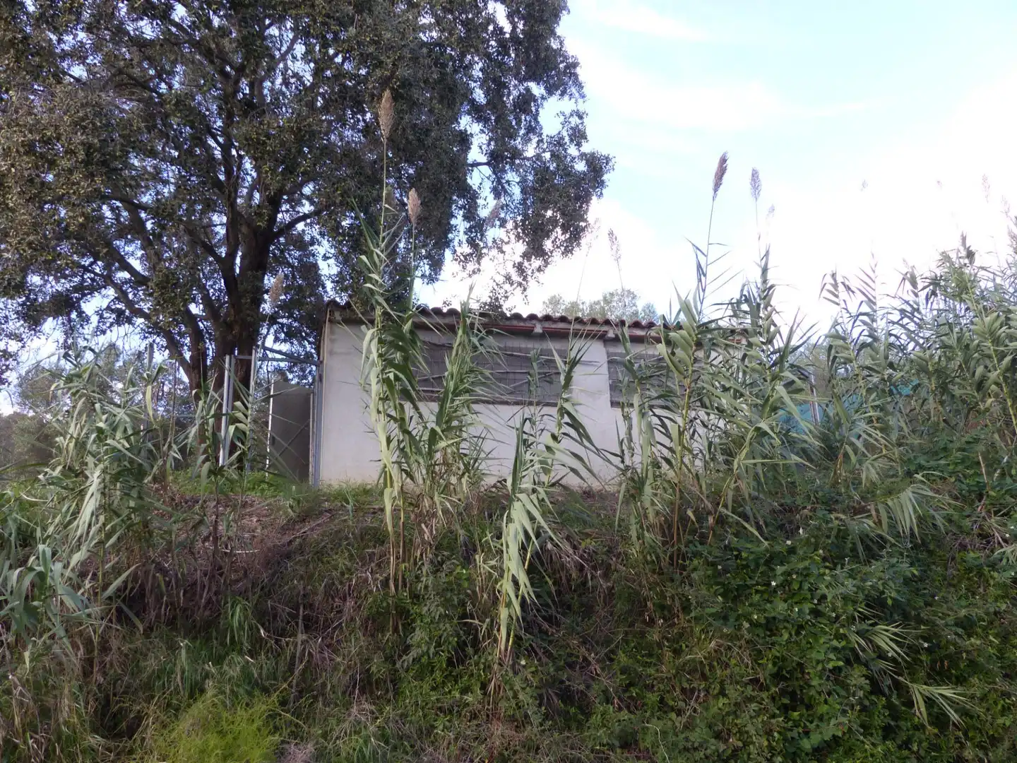 Finca rústica en venda en Les Borges del Camp amb Jardí privat, Traster i Piscina