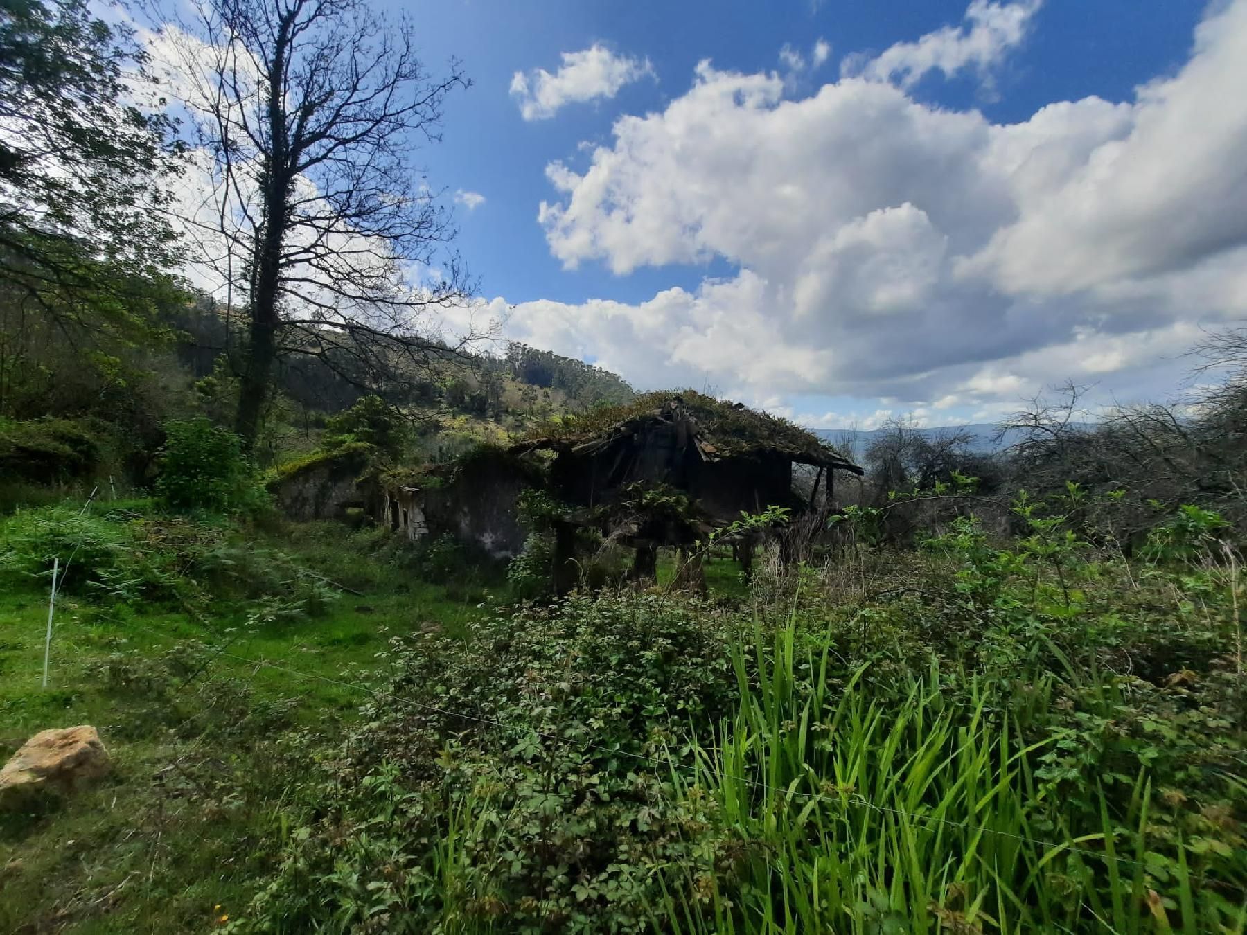 Casa o chalet en venta en Villaviciosa