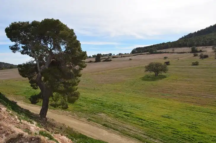 Terrenys i solars en venda a Lorca Ciudad, imagen 2