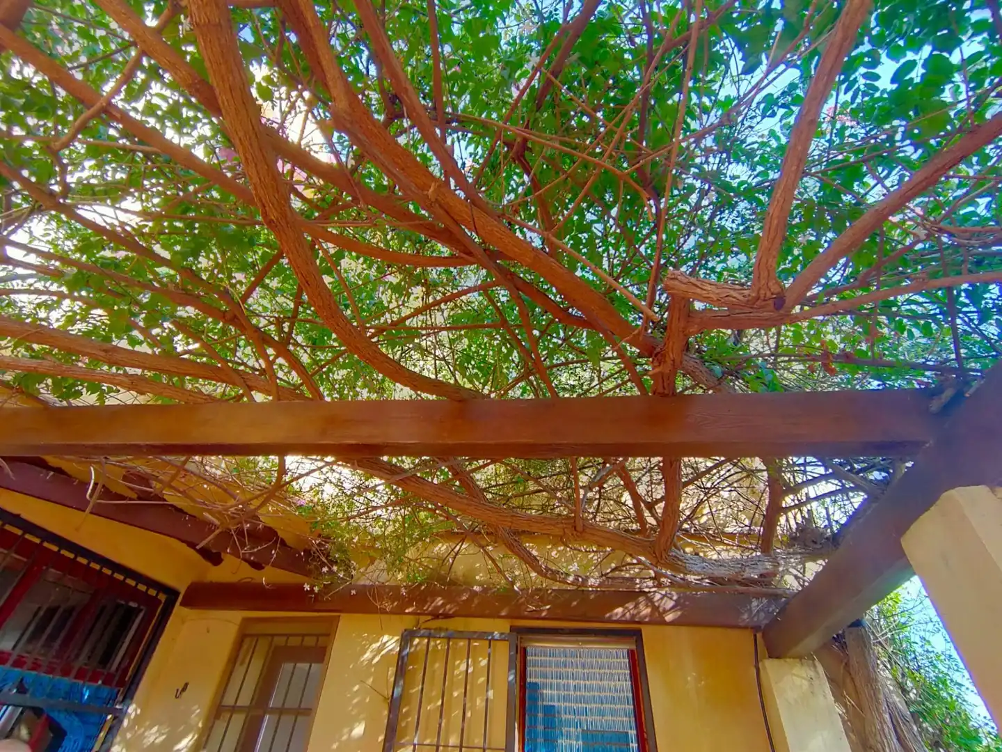 Casa rústica amb jardí en venda a Casco urbano, imagen 34