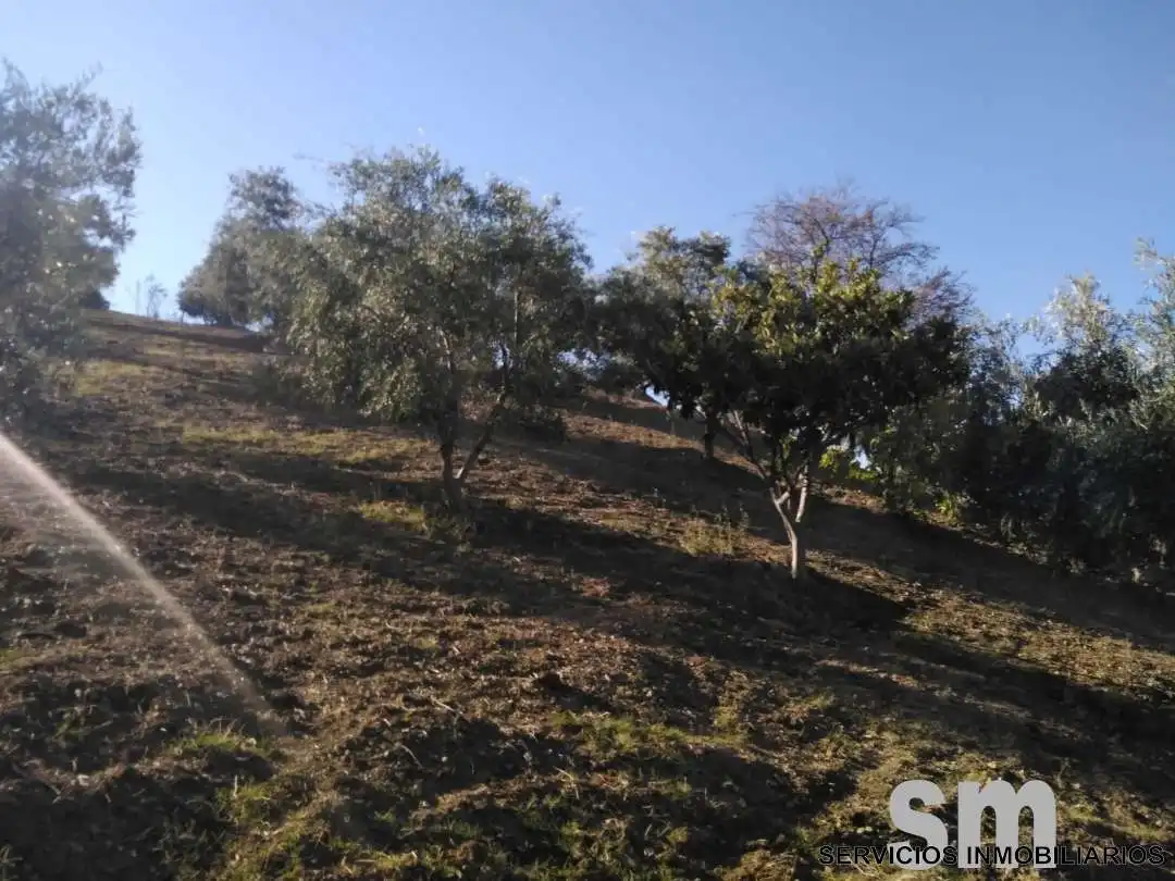 Terreno en venta en Zahara