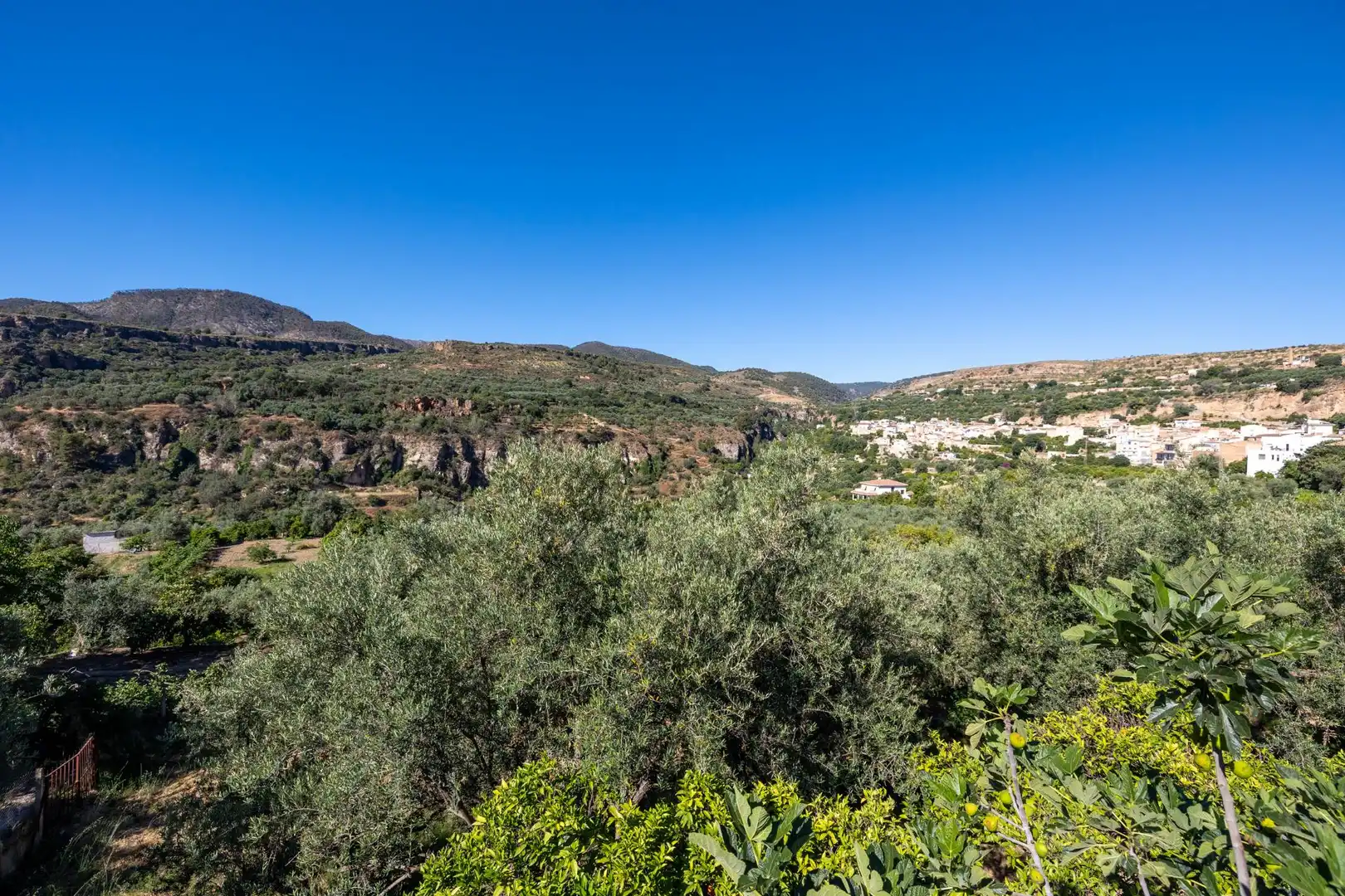 Vista exterior de Finca rústica en venta en Albuñuelas