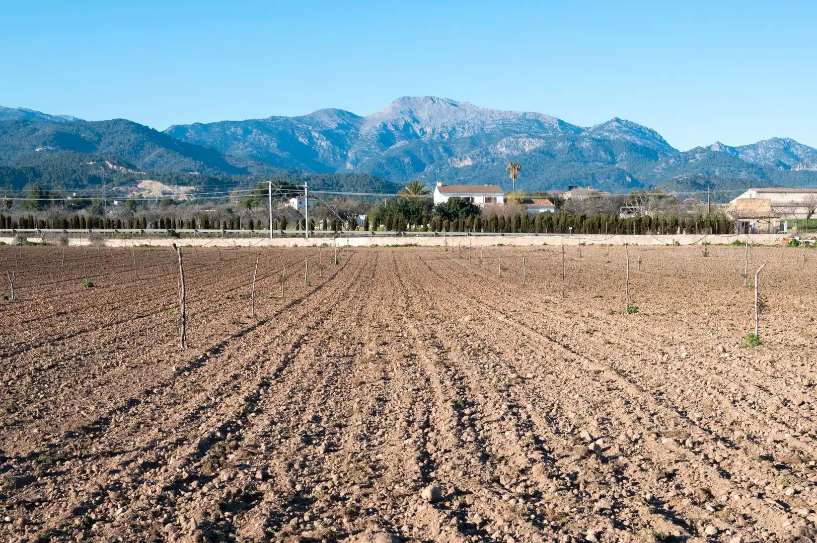 Residencial en venta en Diseminado Poligono 9, 394, Es Blanquer