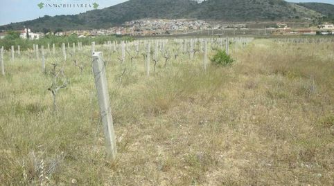 PARCELA CON ALBERGUE, immagine 3