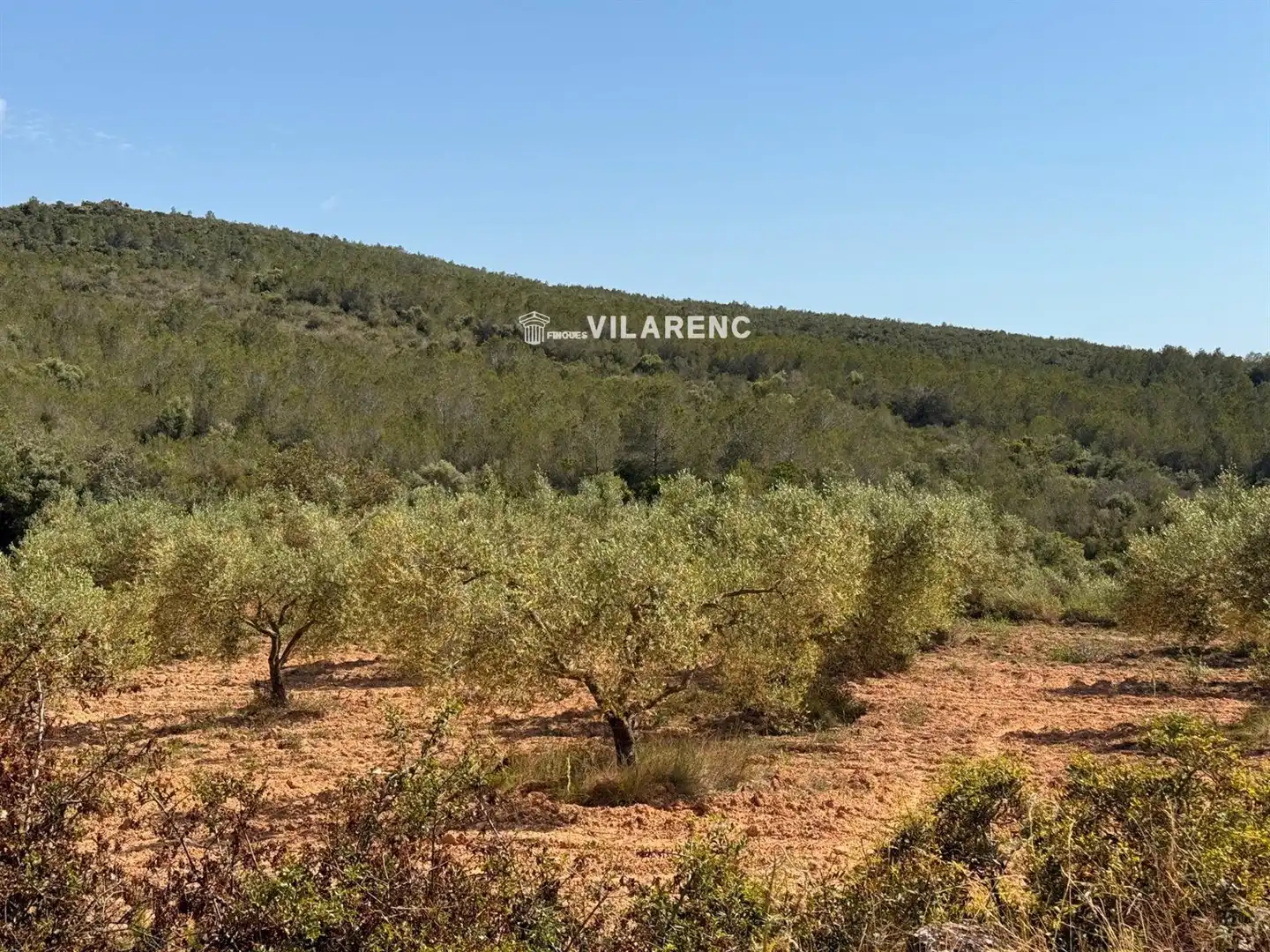 Rural land for sale in Massos de Vespella, imagen 30