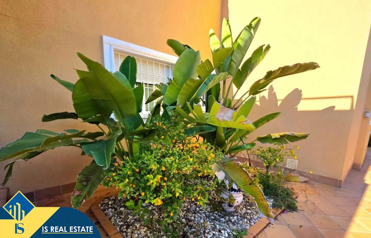 Casa con piscina en venta en Orihuela Costa, imagen 44