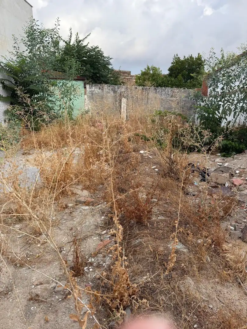 Lands and plots for sale in Olivenza, imagen 5