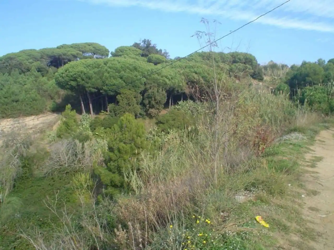 Rustikales Grundstück zum Verkauf in Calle JOAN ALCOVER, imagen 8