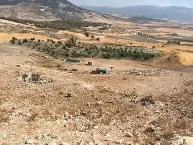 Terreni e lotti in vendita a Vélez-Blanco, imagen 2