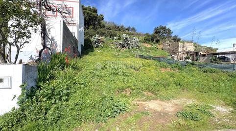 Photo 4 of Residential for sale in Teror pueblo, Teror