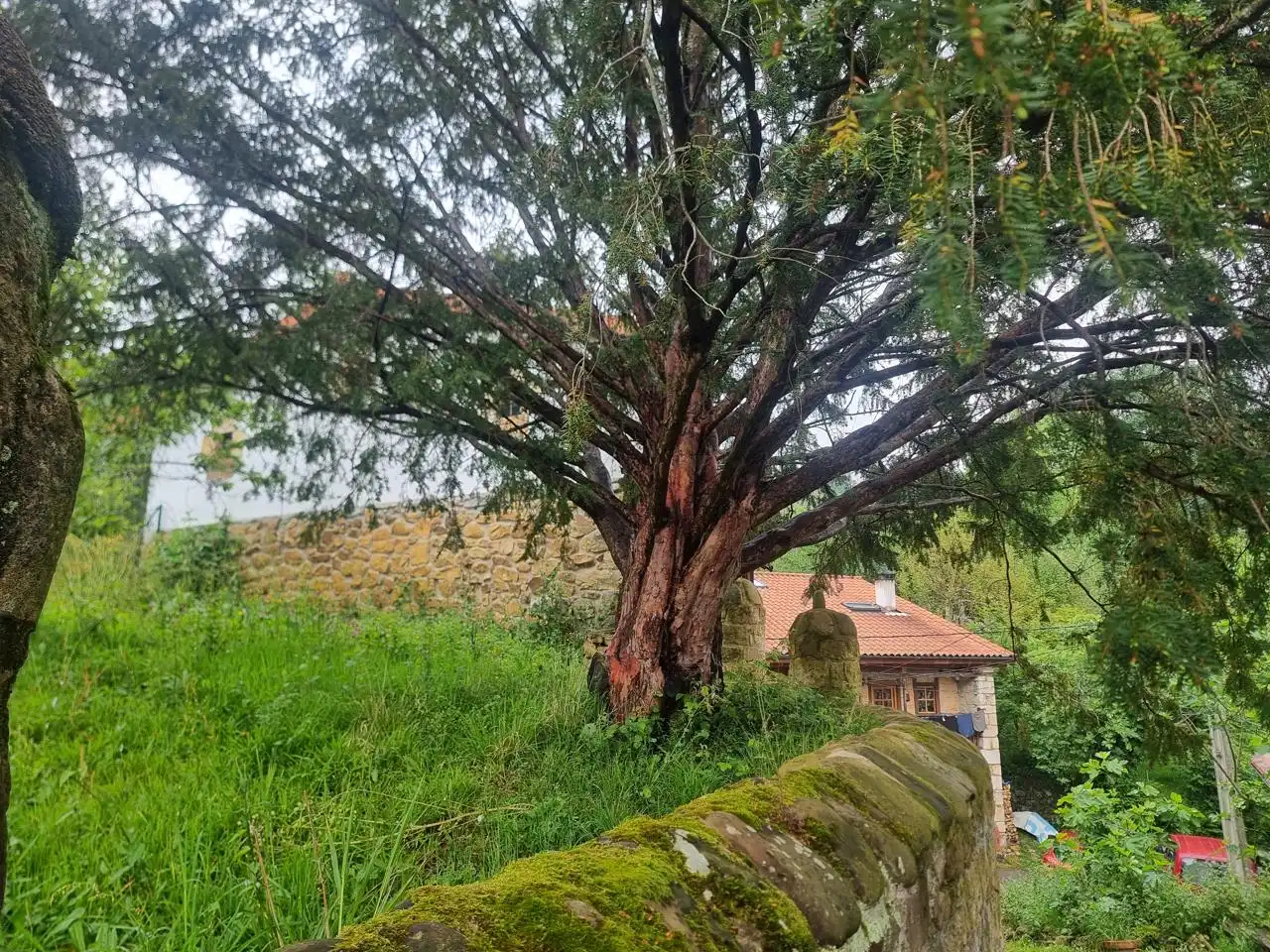 Casa o chalet en venta en Corvera de Toranzo con Calefacción, Jardín privado y Parquet