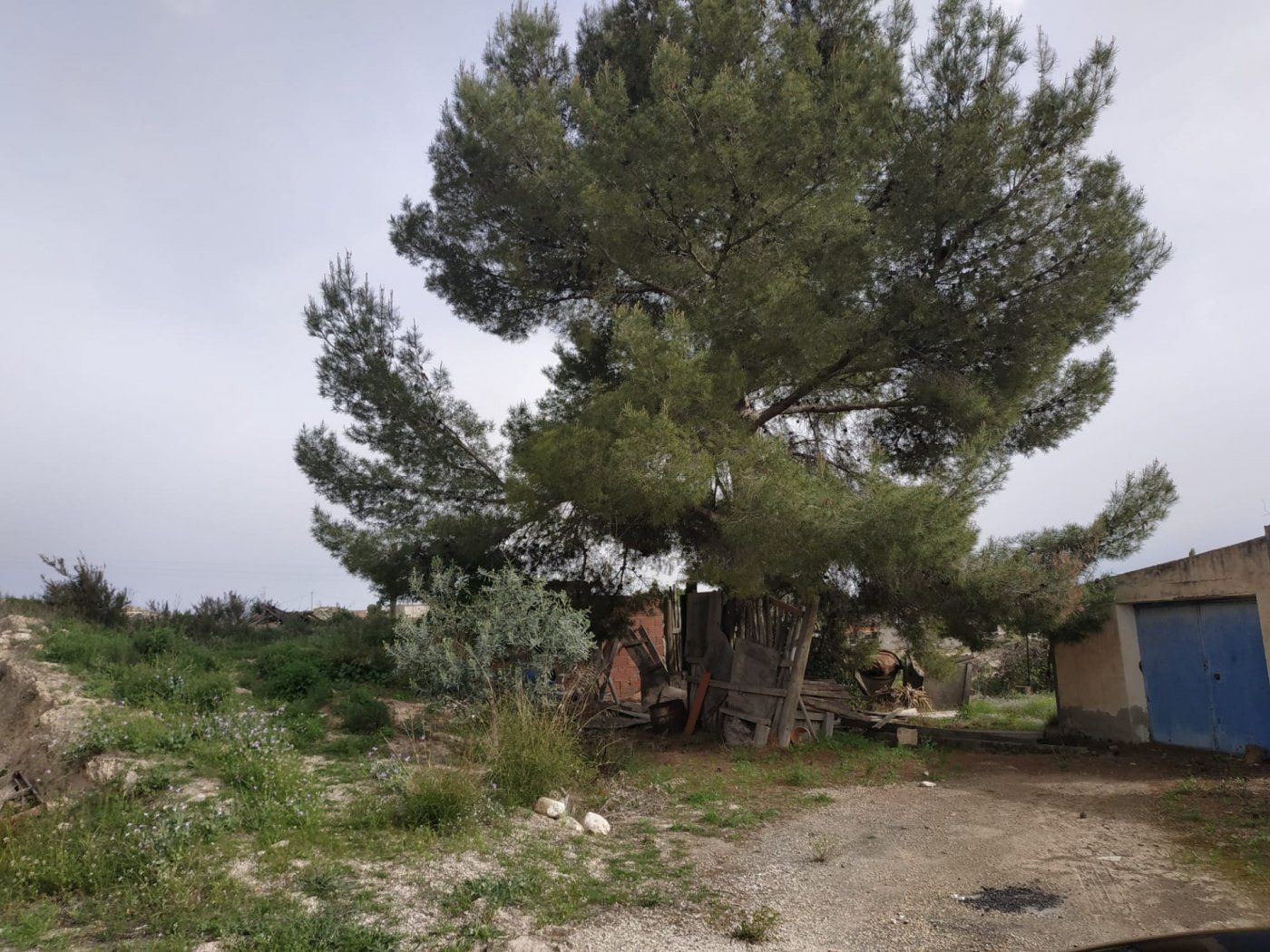 Finca rústica en venda en Molina de Segura amb Jardí privat i Terrassa