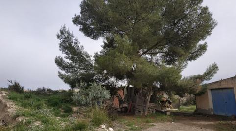 Foto 2 de Finca rústica en venda a El Fenazar - Campotéjar, Murcia