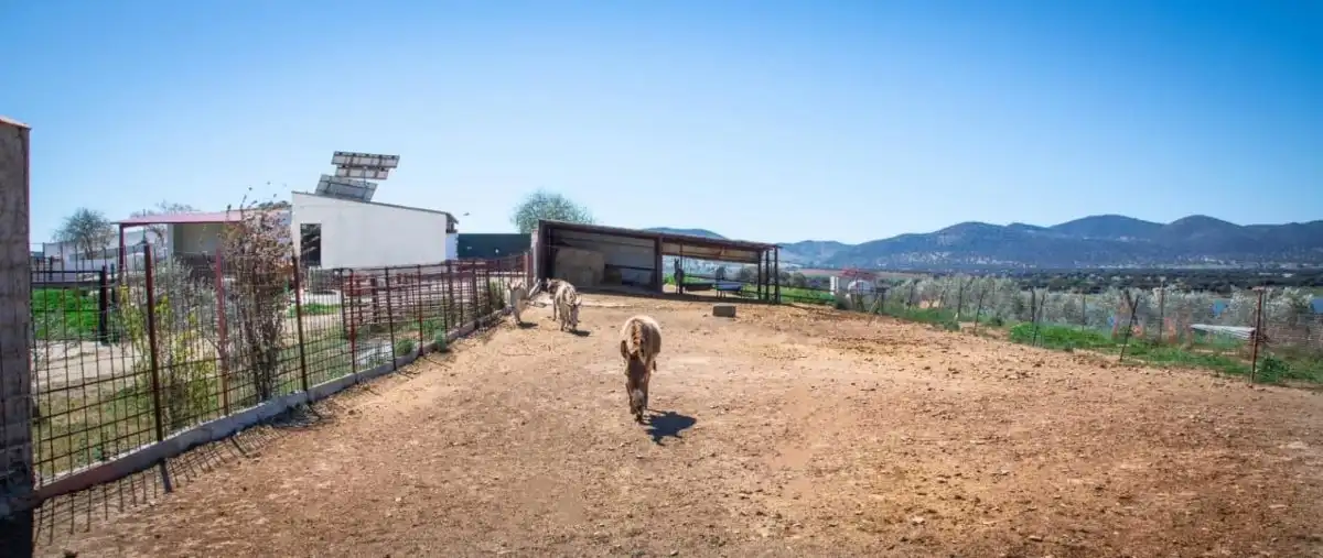 Landhaus zum Verkauf in Peñarroya-Pueblonuevo, imagen 12