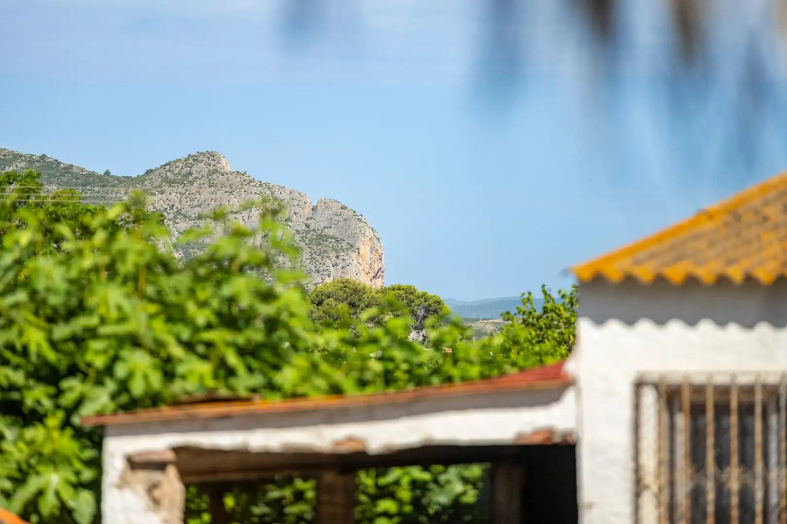 Vista exterior de Finca rústica en venda en Dénia amb Aire condicionat, Calefacció i Jardí privat