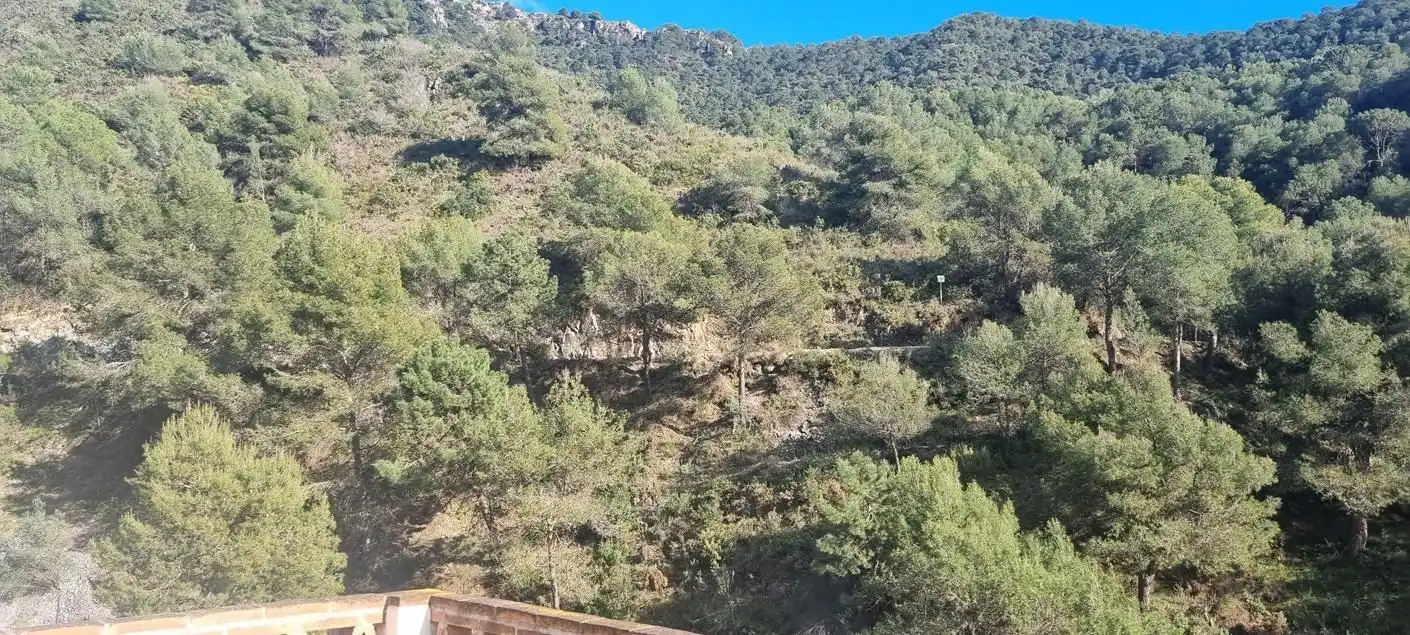 Detached homes for sale in Cómpeta  with Terrace and Swimming Pool