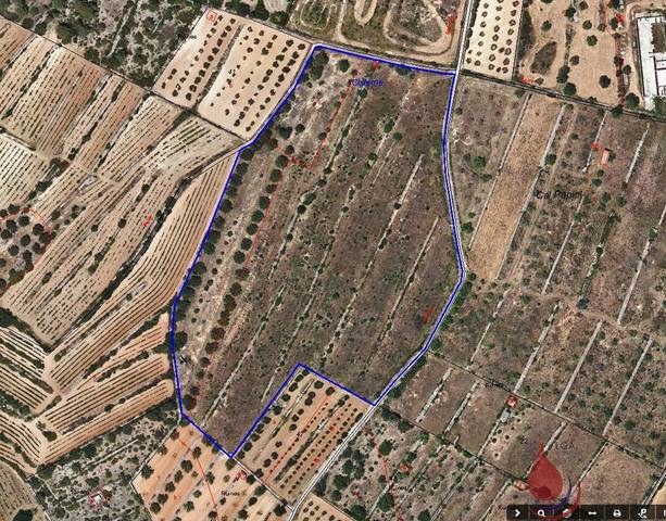 Terreno residencial en Venta en LA PLANA MORELLA en Rodonyà
