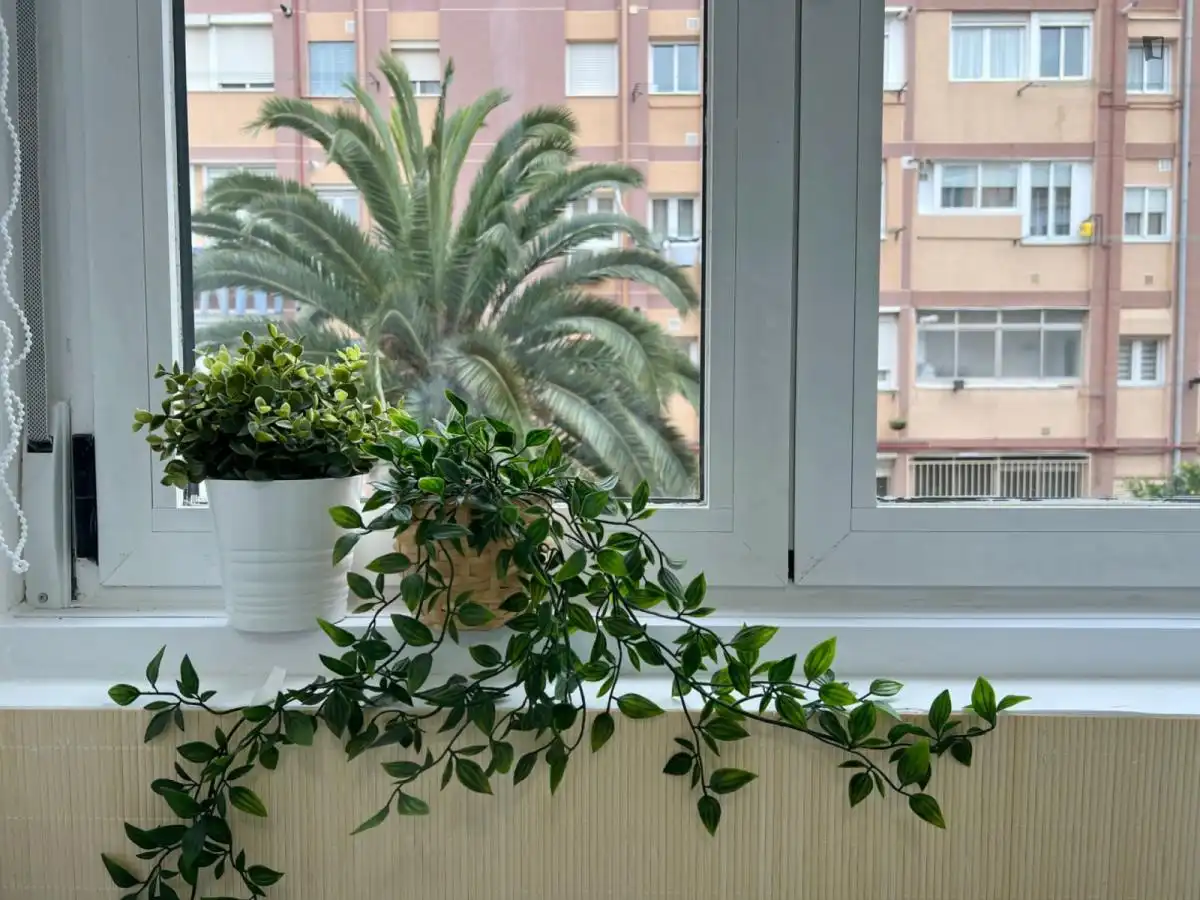 Zimmer in Tres Olivos - Valverde