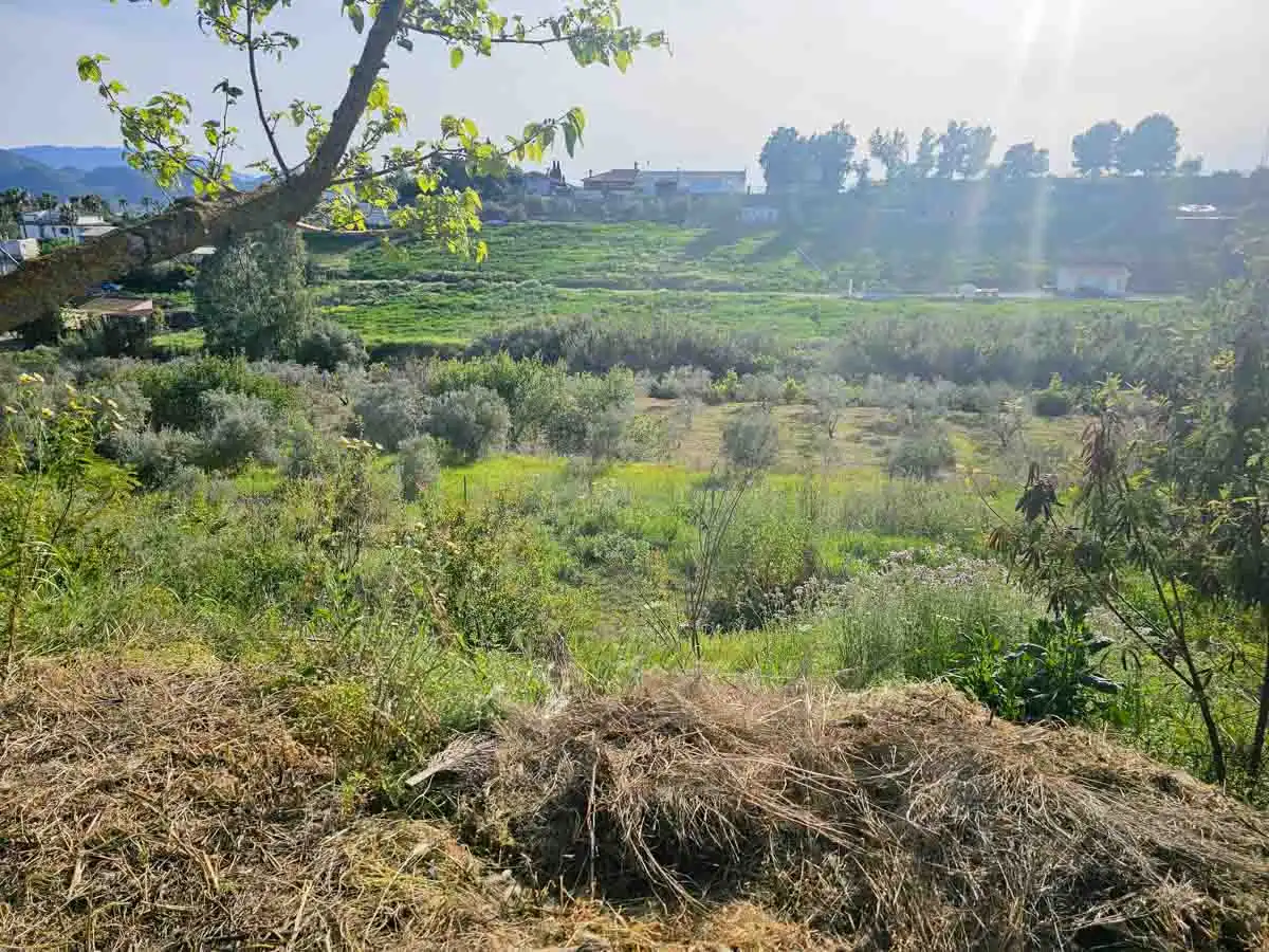 Finca rústica en venta en Málaga