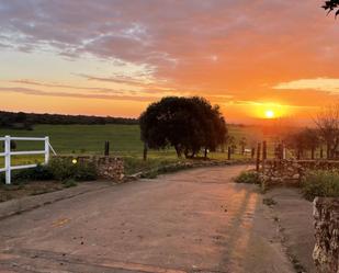 Vista exterior de Finca rústica en venda en Paterna del Campo amb Aire condicionat, Calefacció i Jardí privat