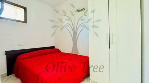 Photo 5 of Apartments for rent in Cala Vedella - Cala Tarida, Sant Josep de sa Talaia