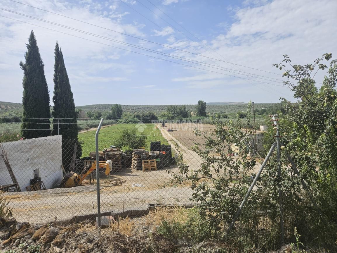 Land for sale in Cabra