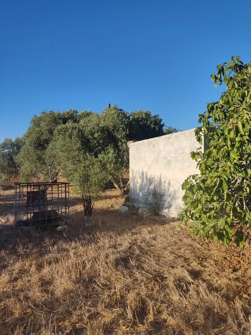 Land for sale in Conil de la Frontera