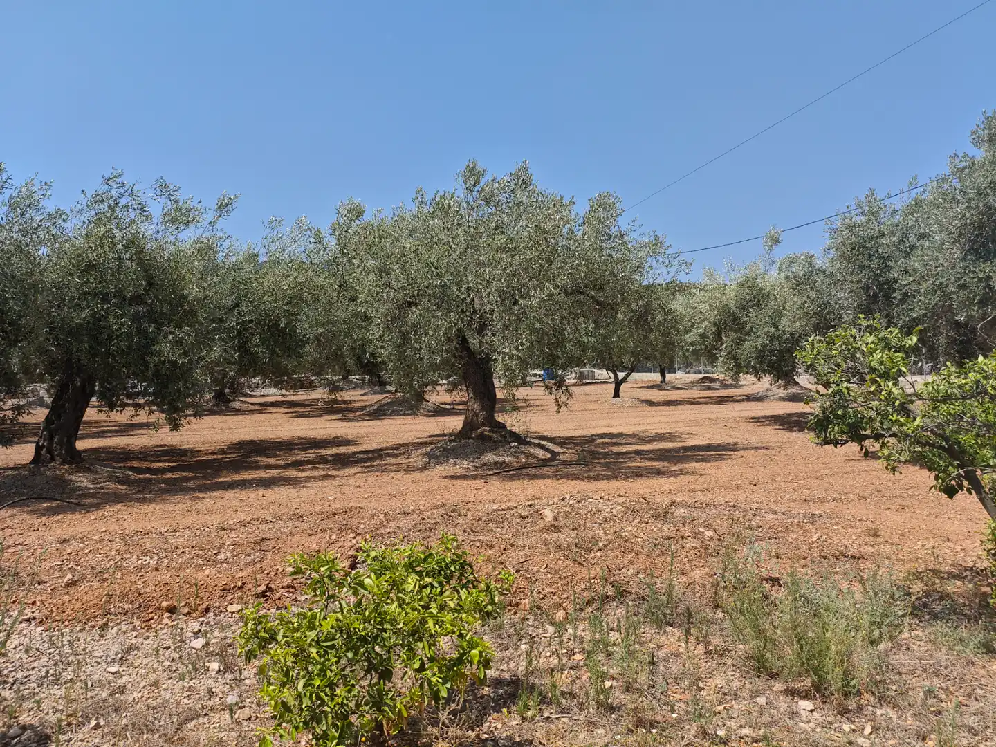 Terreno rústico en venta en Valletes - Xiribecs, imagen 21