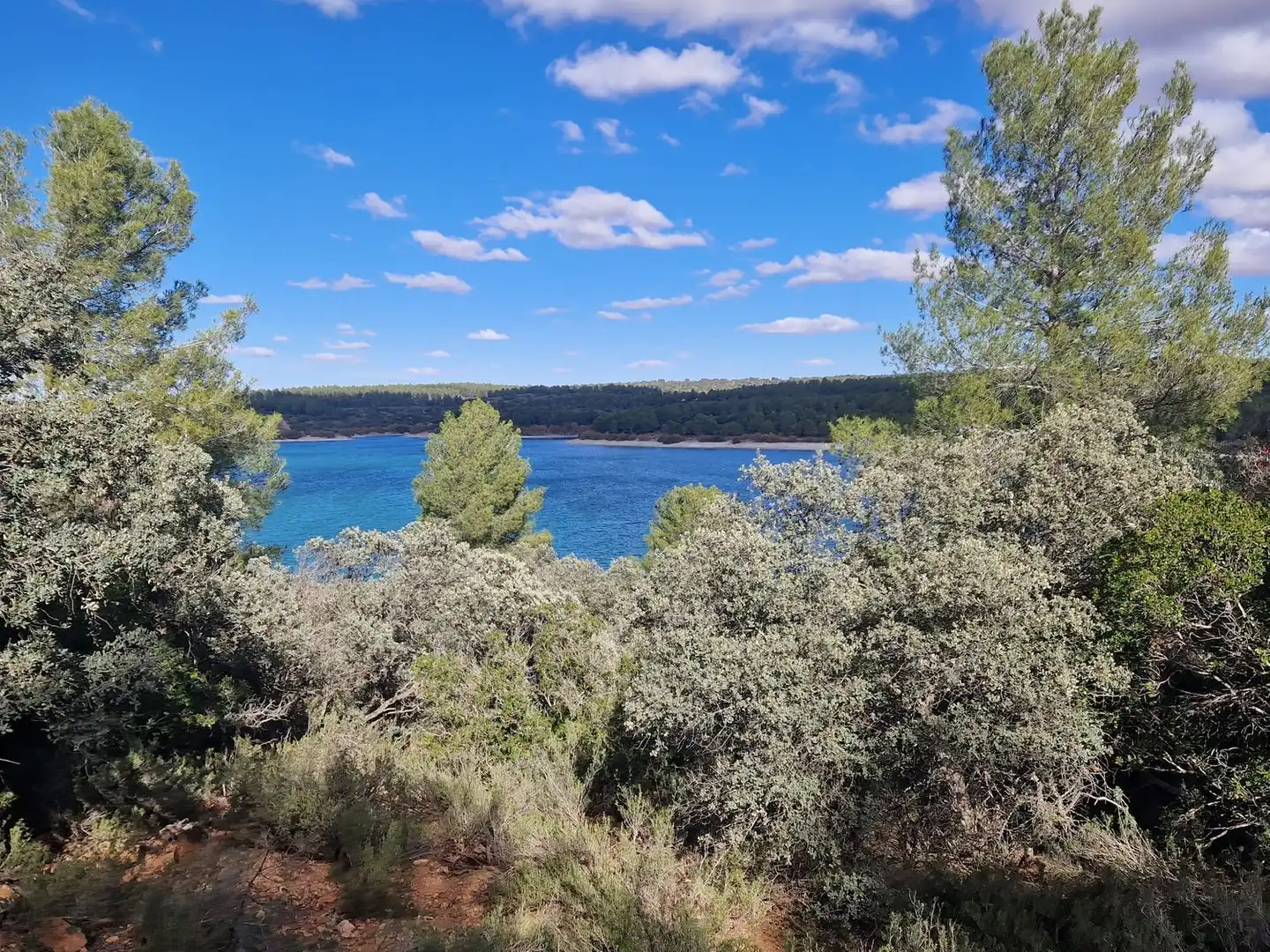 Rural land for sale in Pantano de Peñarroya 0, imagen 15