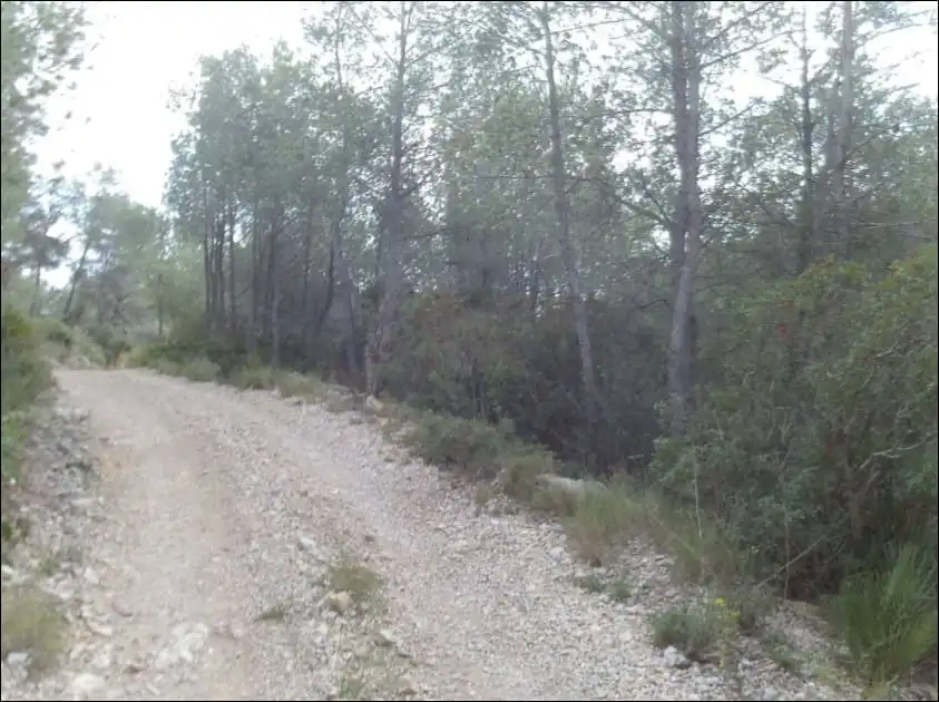 Terreny en venda en Peñíscola / Peníscola