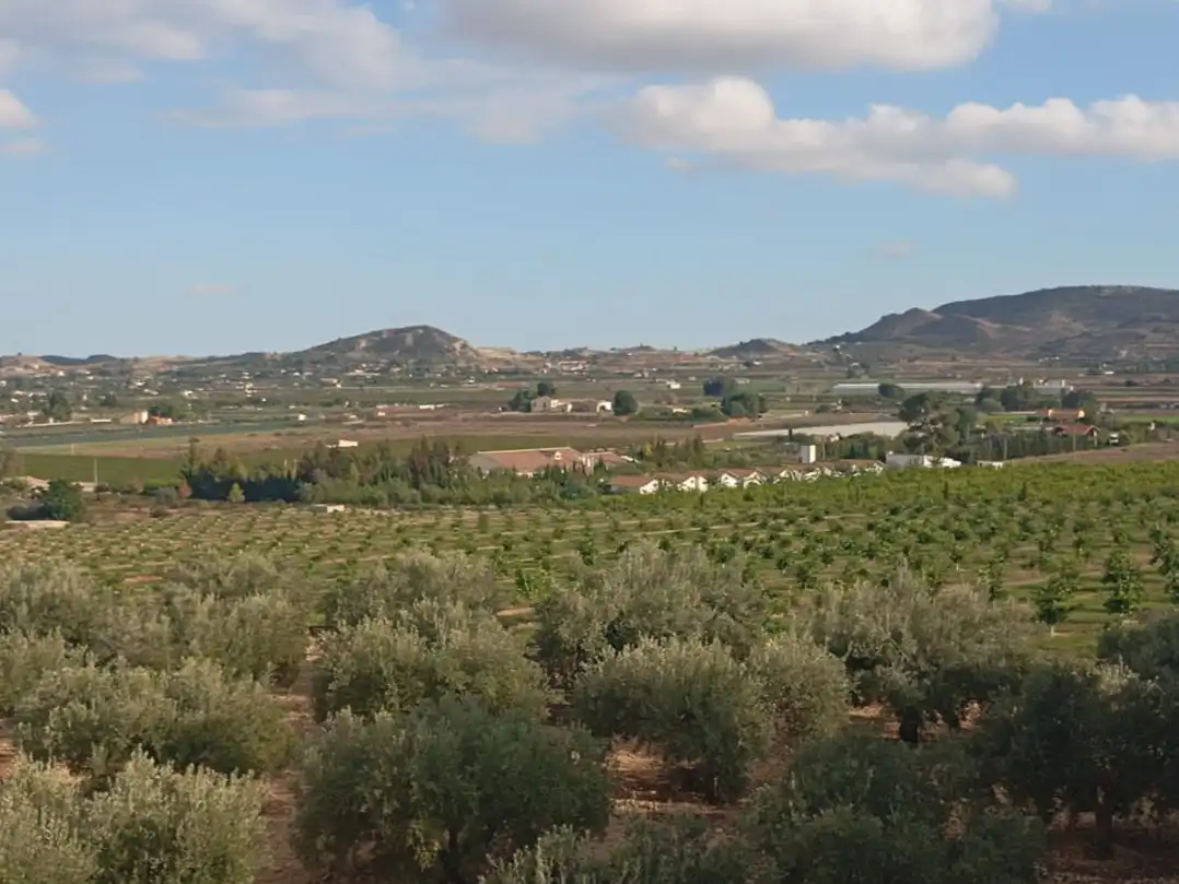 Residential for sale in Camino Miguelayo, 2, Pedanías Oeste