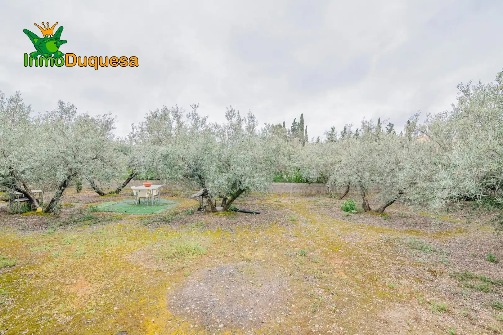 Garten von Country house zum Verkauf in Ogíjares