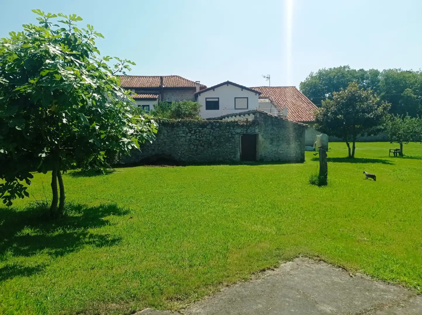 Garden of Buildings for sale in Alfoz de Lloredo