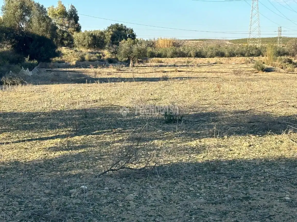 Terrenys i solars en venda a Calle Algarraz, imagen 5