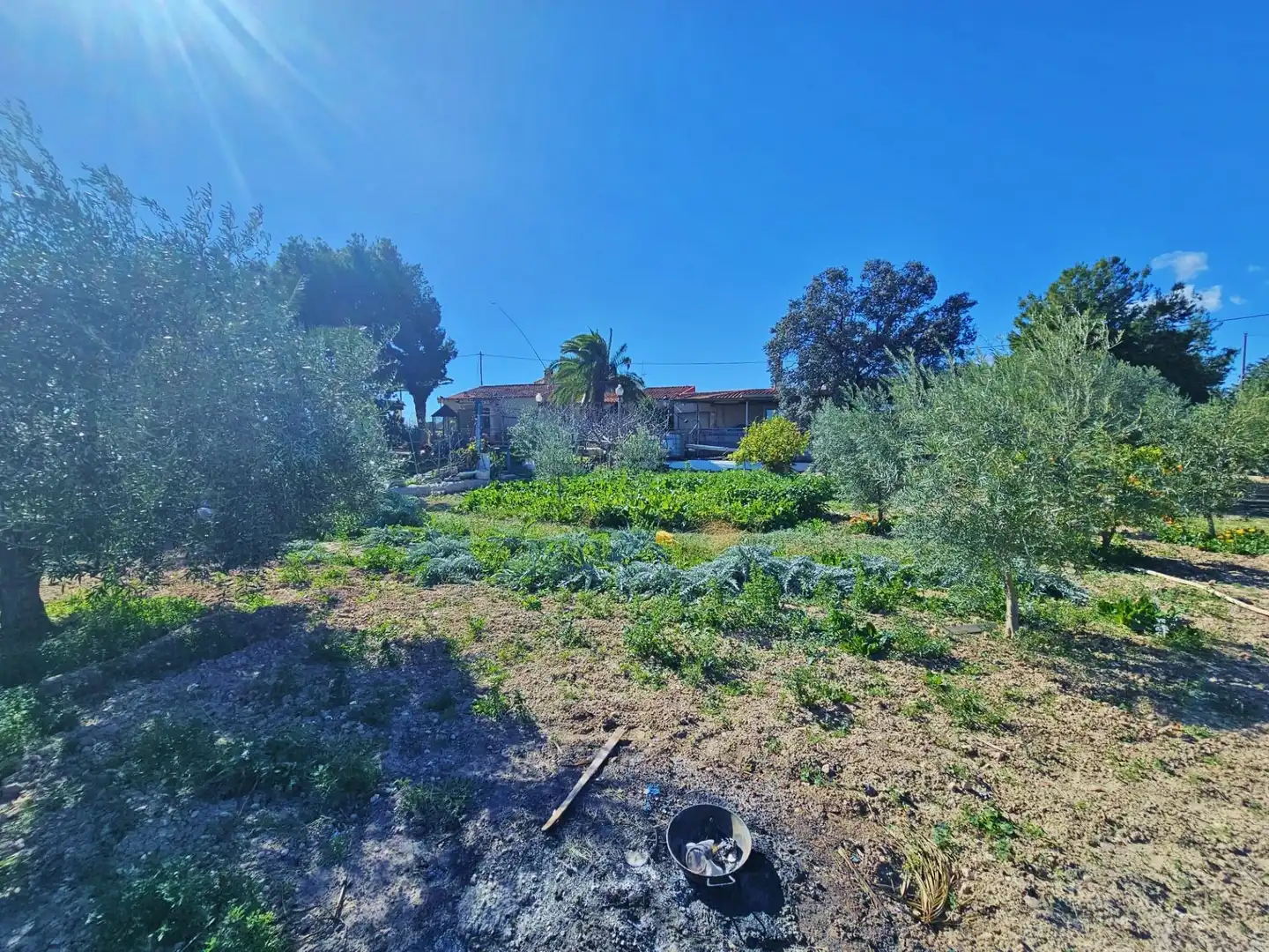 Finca rústica en venta en Alicante / Alacant