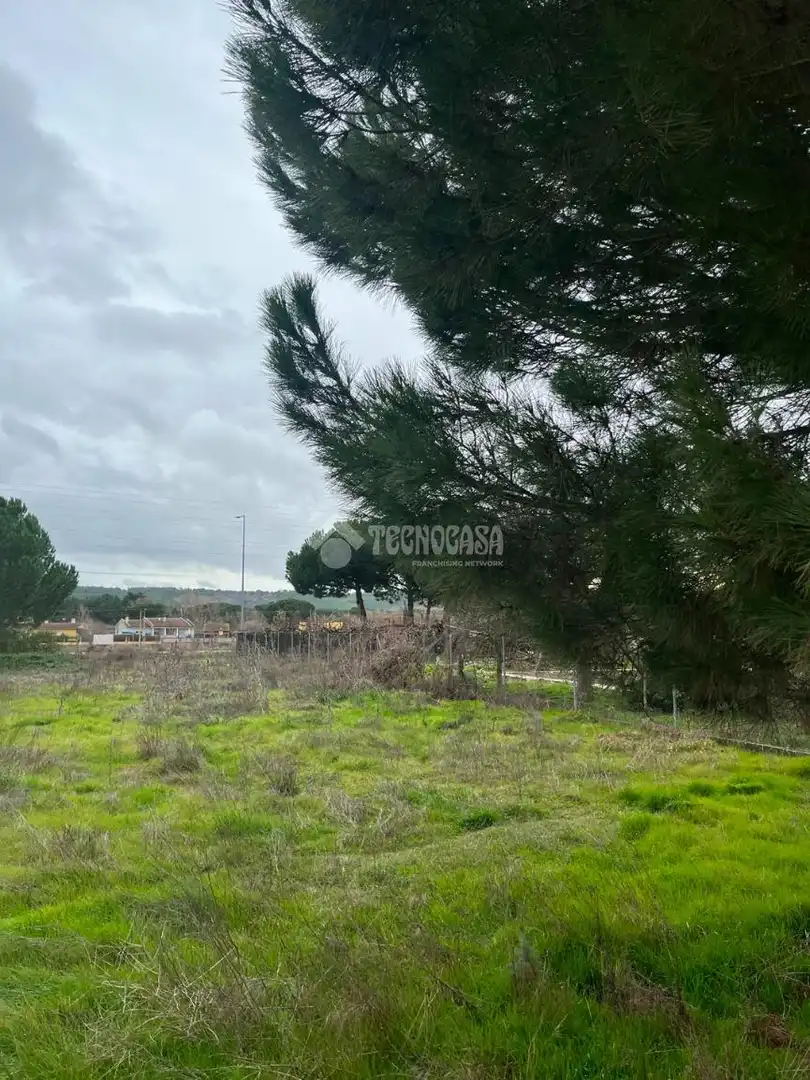 Terreno residenziale in vendita a Tudela de Duero, imagen 4