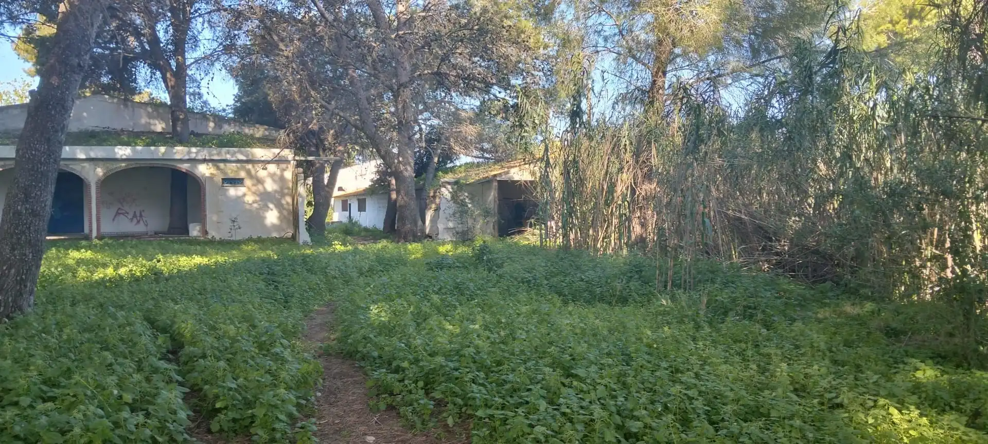 Terreni e lotti in vendita a Los Franceses – La Vega, imagen 3