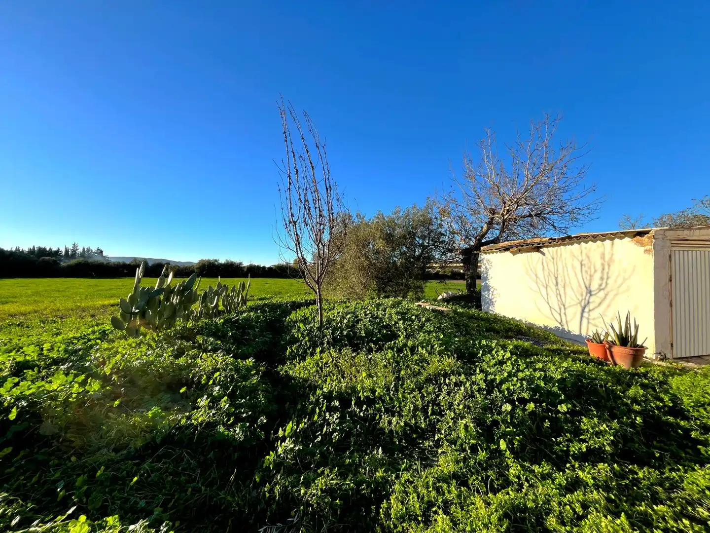 Houses for sale in Antequera