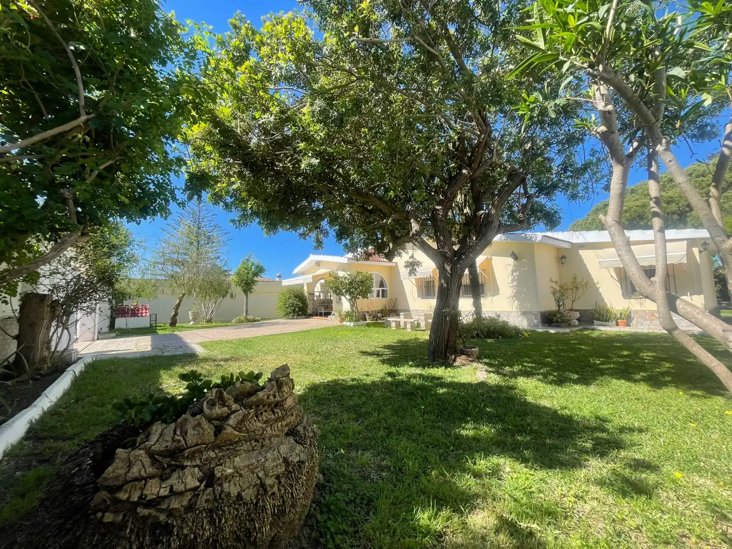 Exterior view of Houses for sale in Chiclana de la Frontera  with Private garden, Swimming Pool and Furnished