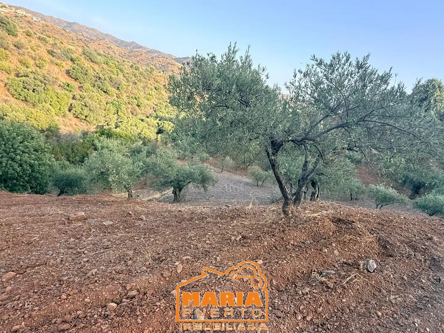 Terreno rustico in vendita a Almogía, imagen 14