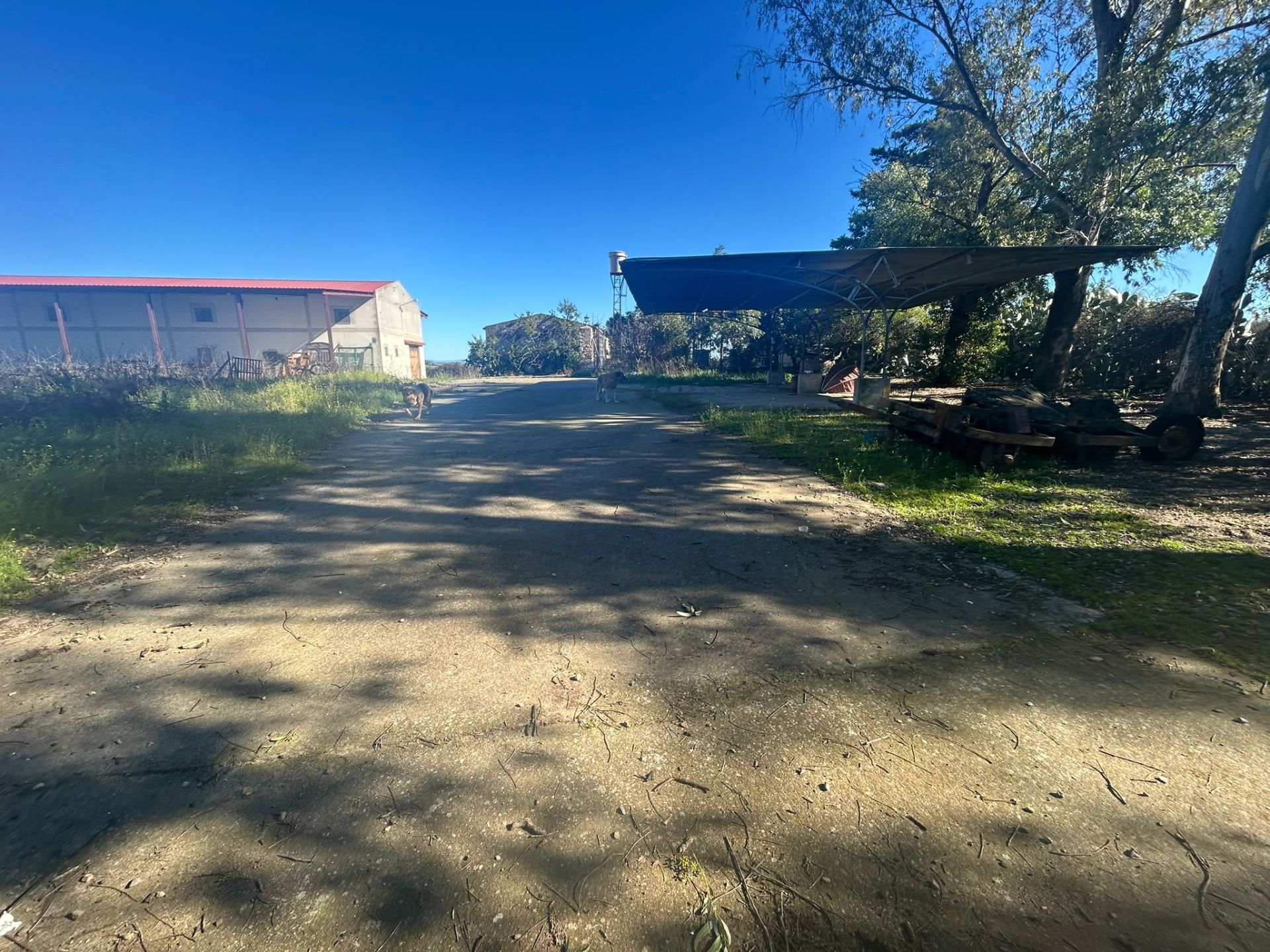 Parking of Land for sale in Coria