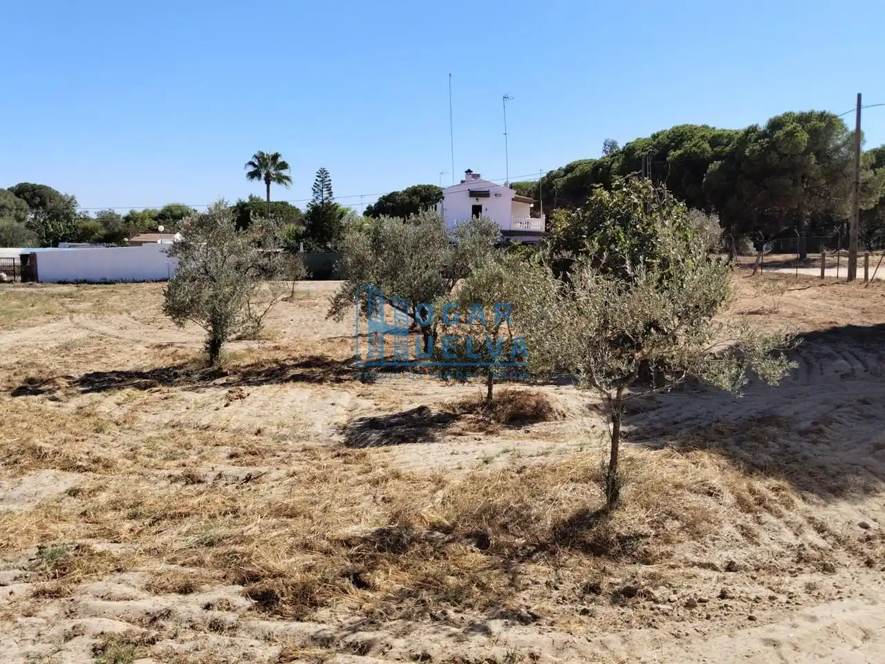 Finca rústica en venda en Lucena del Puerto