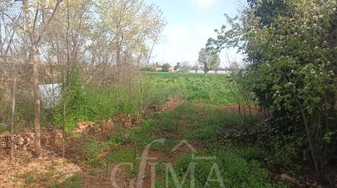 Photo 3 of Land for sale in La Poblechuela, Ciudad Real