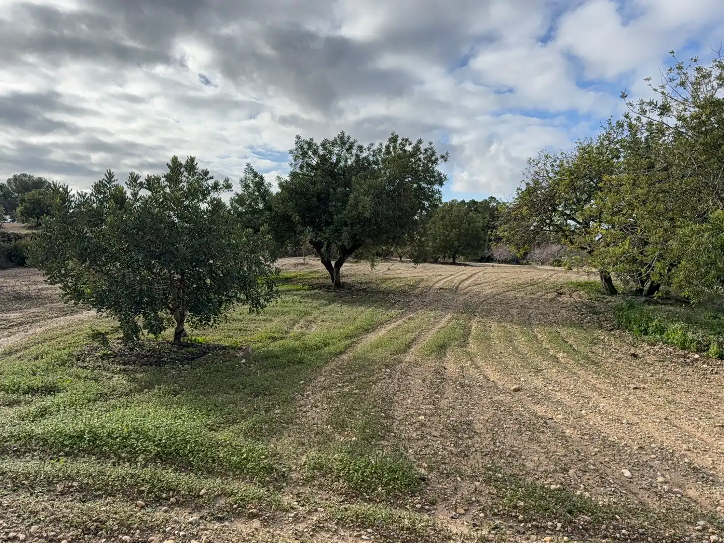Terrain rustique à vendre à Cami Futbol 14A, imagen 11