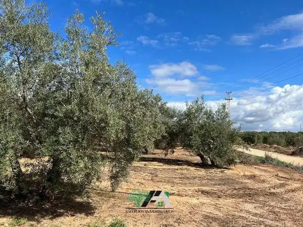 Terreni e lotti in vendita a Calle Llano 41, imagen 6