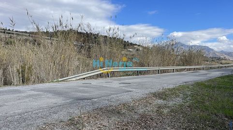 TERRENO PARA USO AGRARIO., immagine 2
