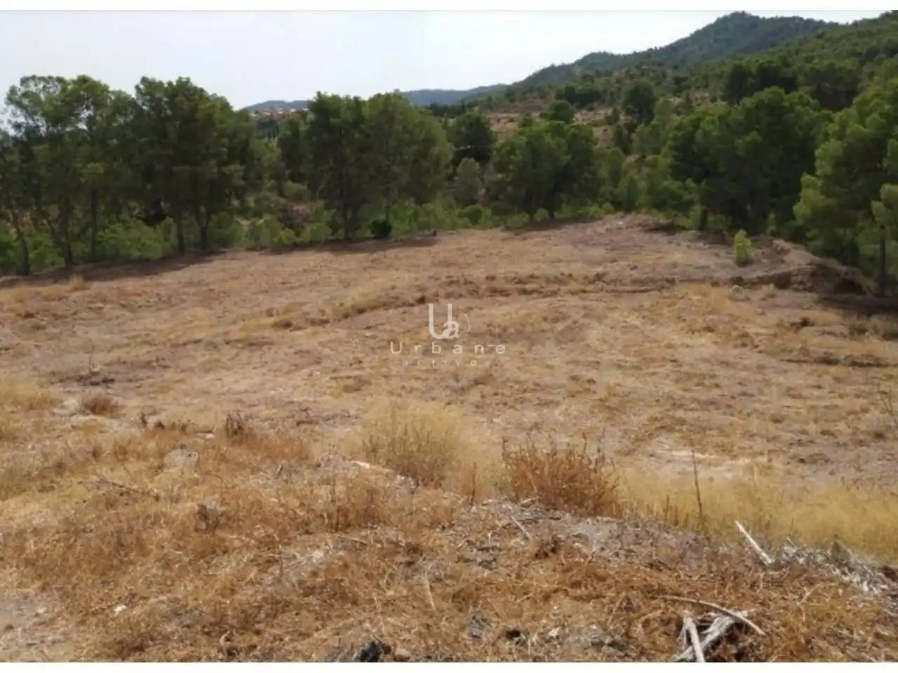 Residencial en venta en Urbanizacion Torreguil, 2, Sangonera la Verde