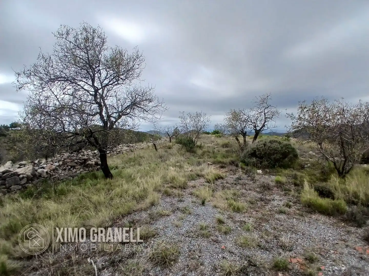 Terreny rústic en venda a La Vall d'Uixó, imagen 24