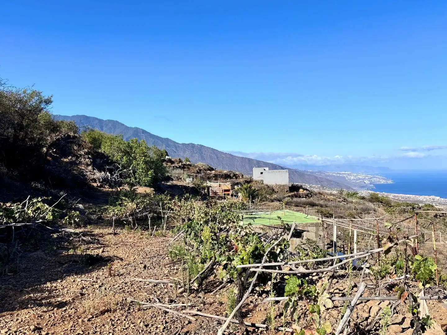 Terreny rústic en venda a La Asomada 0, imagen 19