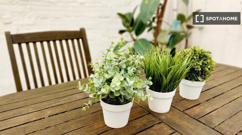 Foto 4 de Estudi per a compartir a Rafalafena, Castellón